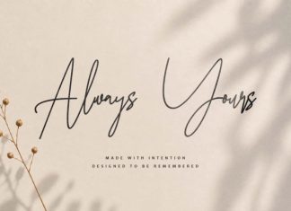 Masion Belle – Elegant Monoline Script Font preview image 3