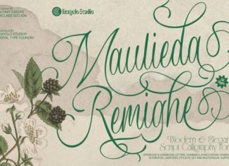 Maulieda Remighe Font preview image 1