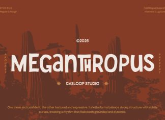 Meganthropus – Vintage Rough Display Font preview image 1