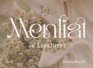 Menliat – Serif Font preview image 1