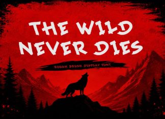 Midnil Brush – Wild Stroke Display Font preview image 2