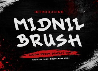 Midnil Brush – Wild Stroke Display Font preview image 1