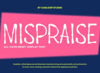 Mispraise – Marker All-Caps Font preview image 1