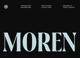 Moren modern Serif Font preview image 1
