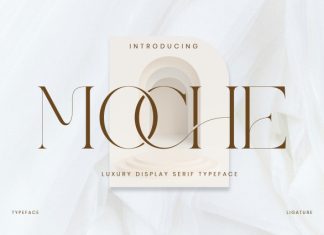Moche – Luxury Display Serif Font preview image 1