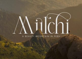 Molevin – Elegant Serif Font preview image 2