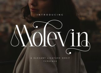 Molevin – Elegant Serif Font preview image 1
