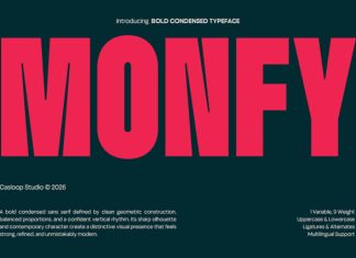 Monfy – Bold Condensed Typeface Font preview image 1