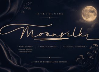Moonsilk Font preview image 1