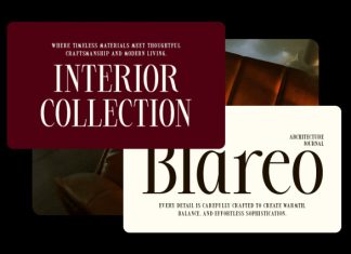 Mostena – Modern Elegant Serif Font preview image 3