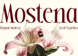 Mostena – Modern Elegant Serif Font preview image 1
