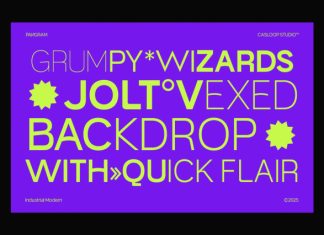 Muring 03 Font Family preview image 3