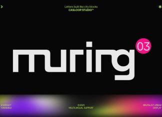 Muring 03 Font Family preview image 1