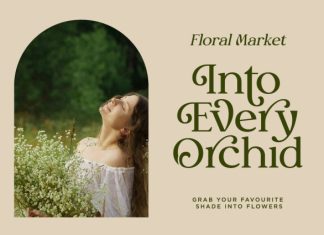 Myles Birdsie – Elegant Versatile Serif Font preview image 2