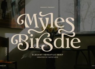 Myles Birdsie – Elegant Versatile Serif Font preview image 1
