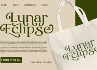 Myles Birdsie – Elegant Versatile Serif Font preview image 3