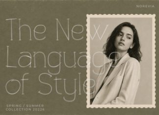 NOREVIA — Elegant Hairline Serif Font preview image 2