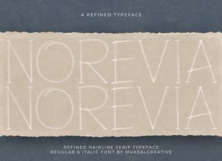 NOREVIA — Elegant Hairline Serif Font preview image 1