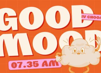 NV CHOOM – Bold Sans Display Font preview image 3