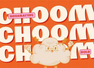 NV CHOOM – Bold Sans Display Font preview image 1