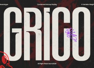 NV GRICO – Condensed Sans Serif Font preview image 1