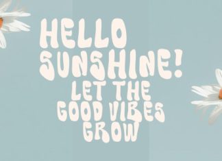 Nanduri Groovy Playful Display Font preview image 3