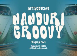 Nanduri Groovy Playful Display Font preview image 1
