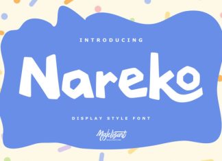 Nareko – Display Font preview image 1