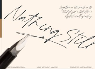 Nathing Still – Stylish Calligraphy Font preview image 1