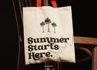 Newsford – Elegant Retro Serif Font preview image 3