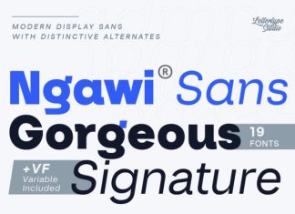 Ngawi Font preview image 1