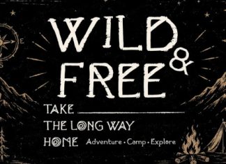 Nora Brindle Distressed Display Font preview image 3