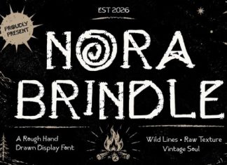 Nora Brindle Distressed Display Font preview image 1