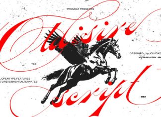 Oldisire Script Font preview image 1