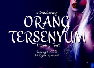 Orang Tersenyum Script Playful Font preview image 1