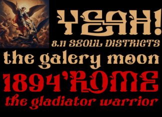 Oreyohi – Vintage Fancy Font preview image 3