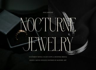 Orlevin New Modern Serif Font preview image 2