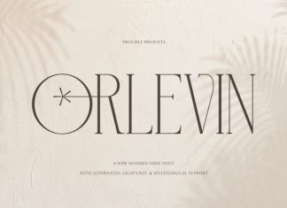 Orlevin New Modern Serif Font preview image 3