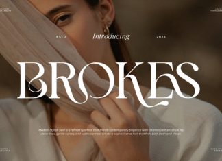 Brokes || Modern Minimalist Serif Font preview image 1