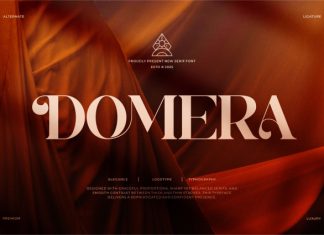Domera || Modern Classy Serif Font preview image 1