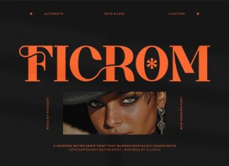 Ficrom || Modern Retro Serif Font preview image 1