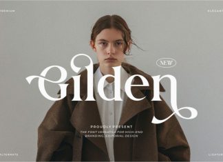 Gilden || Modern Classy Serif Font preview image 1