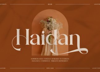 Haidan || Moden Classy Serif Font preview image 1