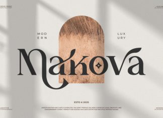 Makova || Modern Minimalist Serif Font preview image 1