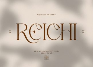 Reichi || Modern Classy Serif Font preview image 1