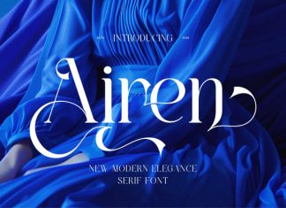 Airen || Elegant Classy Serif Font preview image 1