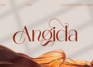 Angida || Modern Classy Sans Serif Font preview image 1