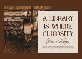 Amotha || Modern Classy Serif Font preview image 2