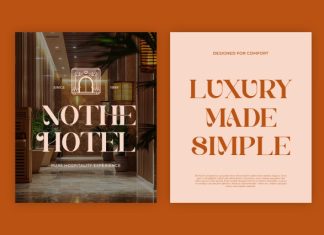 Domera || Modern Classy Serif Font preview image 2