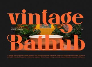 Ficrom || Modern Retro Serif Font preview image 2